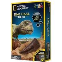National Geographic Dino Fossil Excavation Kit national geographic dino fossil excavation kit