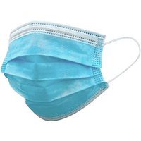 skjoll face mask type i – 10 pcs