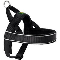 hunter norwegian racing harness – small