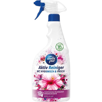 ambi pur wc active hygienic & fresh rose & lily toilet cleaner spray – 750 ml