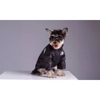 Groupon UK offer