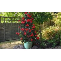 Glazed Effect Patio Pots or Hanging Baskets :Pistachio Green Tower Pot/Five glazed effect patio pots or hanging baskets :pistachio green tower pot/five