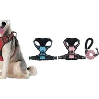 Adjustable Reflective Dog Harness and Leash Set: Sky Blue/M adjustable reflective dog harness and leash set: sky blue/m