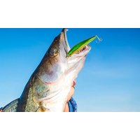Christmas Advent Calendar for Anglers; 24 Fishing Surprises: One christmas advent calendar for anglers; 24 fishing surprises: one