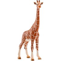 schleich female giraffe – 14750