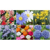 bumper spring bulb collection:500