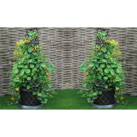 Tower Patio Pot: Modern Grey/One Pack tower patio pot: modern grey/one pack