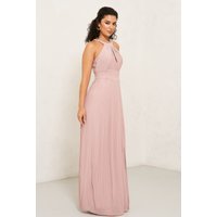 tfnc prague pale mauve maxi dress
