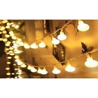 globe fairy led lights: multi colour 6m/one