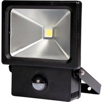 perel lamp – 20w