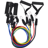 inshape multifunctional exercise bands