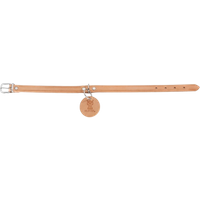 hunter aalborg dog collar – xs