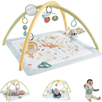fisher price simply senses newborn gym